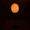Lampe avec oeuf d'autruche – Image 2