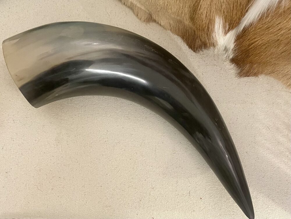 Zebu-Horn poliert